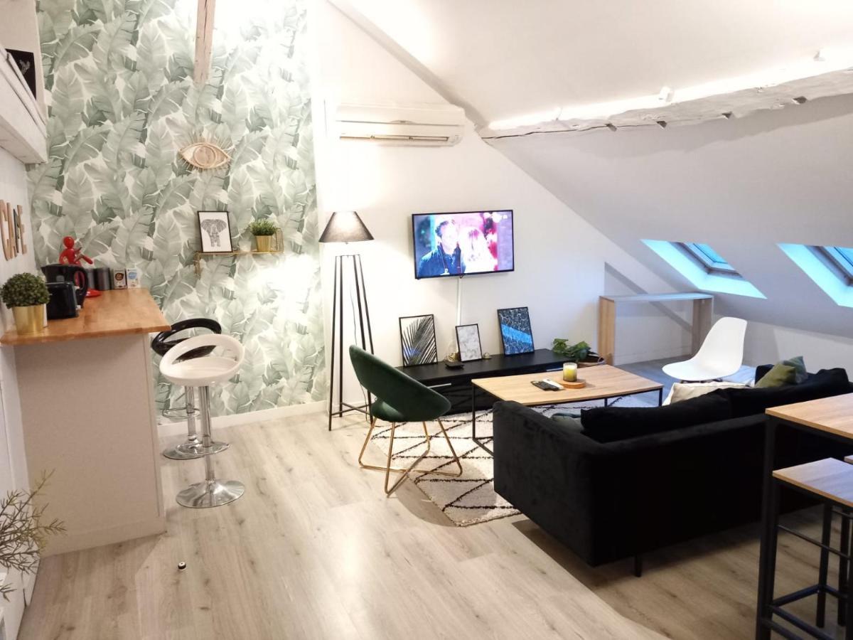 Magnifique Appartement En Hyper-Centre ! ปัวติเยร์ ภายนอก รูปภาพ