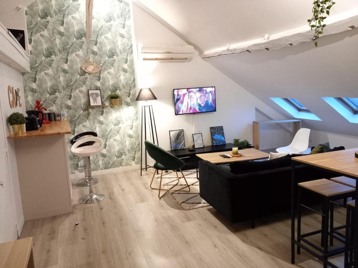 Magnifique Appartement En Hyper-Centre ! ปัวติเยร์ ภายนอก รูปภาพ